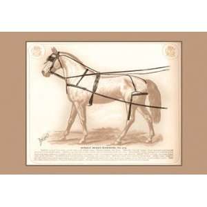  Single Buggy Harness 20x30 poster