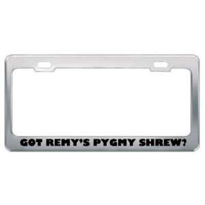Got RemyS Pygmy Shrew? Animals Pets Metal License Plate Frame Holder 