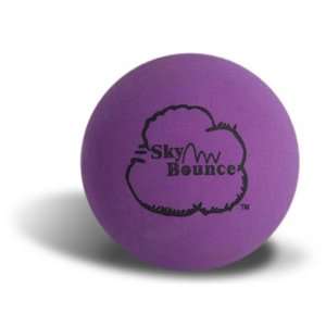  Sky Bounce 3911 Purple Sky Bounce Ball   12 Count Sports 