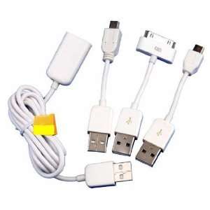  4in1 USB Cable for Ipad2,iphone 3g/3gs,4g,blackberry,ipod 