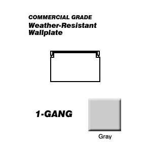  6196 FS Leviton Decora Weather Resistant Wallplates