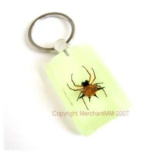  REAL ORB WEAVER SPIDER KEYCHAIN KEY CHAIN RING   GLOWS 