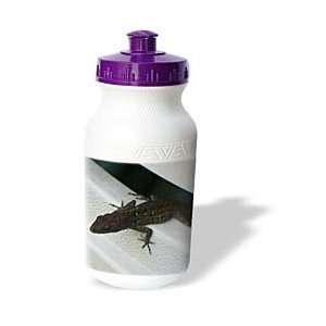  Florene Nature   Leaping Lizzard   Water Bottles Sports 
