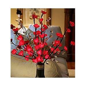  Electric Red Plum Flowers 60 Bulbs 20 Inch Tall