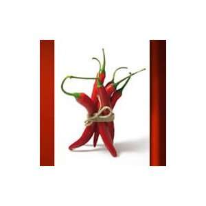  Red hot chili peppers artist digital canvas  home modern 