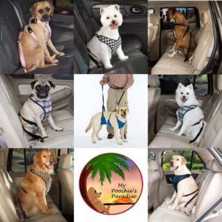 Car Harnesses for Dogs   Keep Your Dogs Safe Harnesses