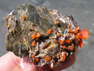 Wulfenite, Red Cloud Mine, Arizona  