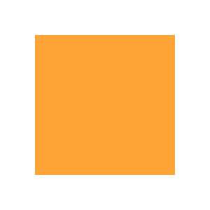  Rosco E Color Chrome Orange 179 Gel Filter Sheet 