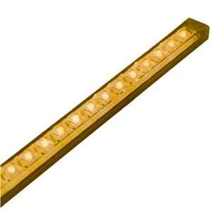  Striplyte 50 LED 120VAC Amber