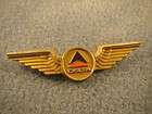   Delta Airlines Collectibles Keychain Badge/Pin Jr.Pilot Wings TriStar