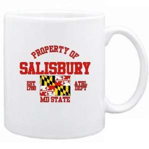   Of Salisbury / Athl Dept  Maryland Mug Usa City