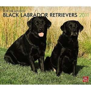  For the Love of Black Labrador Retrievers 2011 Deluxe Wall 