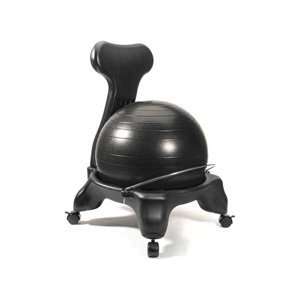  Sissel TheraGear Ball Chair
