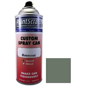  12.5 Oz. Spray Can of Laud. Grey (matt) Metallic Touch Up 