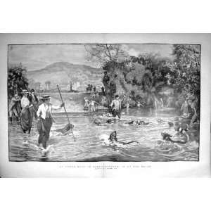    1896 Otter Hunt Somersetshire Dogs Attacking River
