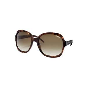 Aster 1 Fashion Sunglasses 