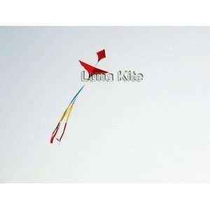   aviation kiteresin bar frame/breeze kite/fast delivery Toys & Games