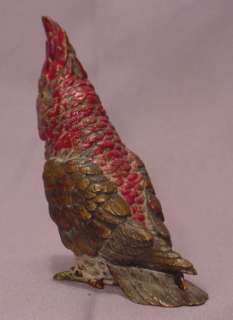 Antique Vienna Bronze Cockatoo  