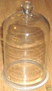 Glass Bell Jar Plant Cloche Dome Cake 7x10 knob New  