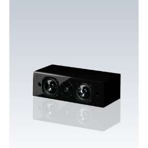  Vienna Acoustics Theatro (Black) Electronics