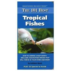  The 101 Best Tropical Fishes How to Choose (Quantity of 3 