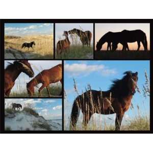  Peter Duran Wild Horses Jigsaw Puzzle Toys & Games
