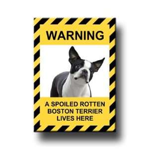    Boston Terrier Spoiled Rotten Fridge Magnet 
