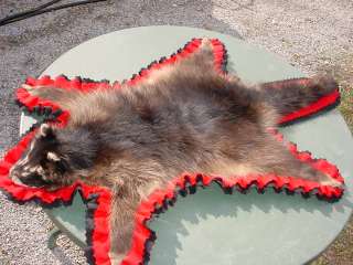Raccoon Rug for Hunting Cabin/lodge Decor Fur skin hide  