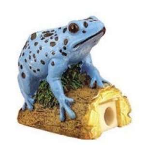 Blue Poison Dart Frog Pencil Sharpener Toys & Games