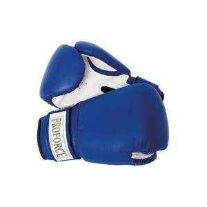  Blue Boxing Gloves