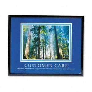  Framed Customer Care Motivational Print   30w x 24h(sold 