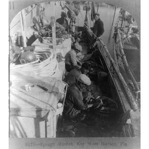  market,Key West Harbor,Florida,FL,c1926,men on a boat