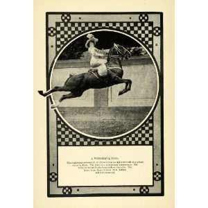  1910 Print Horse Jump Circus Paris Tarbes Equine Jockey 