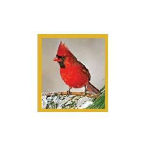 New Magnetic Bookmark Cardinal Winter High Quality Modern Design 