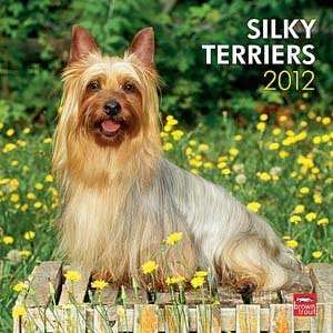  2012 Silky Terriers Calendar