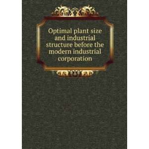  Optimal plant size and industrial structure before the 
