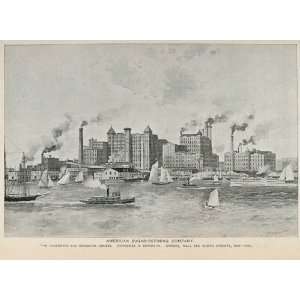  1893 Print American Sugar Refining Factory Brooklyn NY 