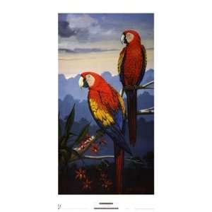  Scarlet Macaw Finest LAMINATED Print Jules Scheffer 15x27 