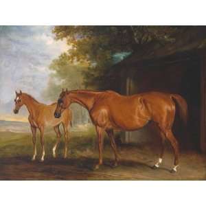   18 inches   Defiance, a Brood Mare, with Revelle