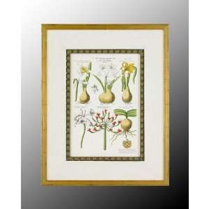   John Richard Botanical/Floral Decorative Items in Wood