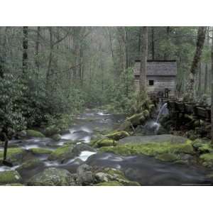 Roaring Fork, Great Smoky Mountains National Park, Tennessee, USA Art 