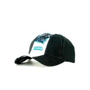  Carolina Panthers Black Skunk Style Hat 