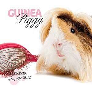  2012 Guinea Pigs By Myrna Calendar