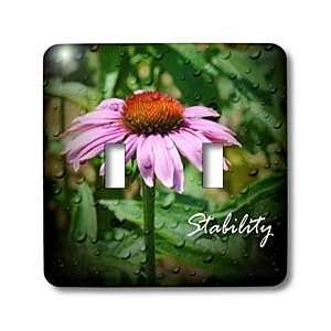   Stability Coneflower Stability   Light Switch Covers   double toggle