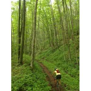  Mountain Biker on Props Run, a Single Track Trail 