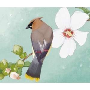  cedar waxwing mouse pad