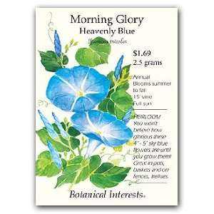 Morning Glory Heavenly Blue Seed Patio, Lawn & Garden