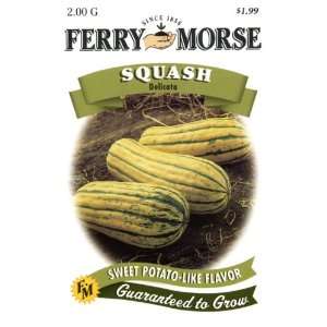  Ferry Morse Seeds 1957 Squash   Delicata 2 Gram Packet 