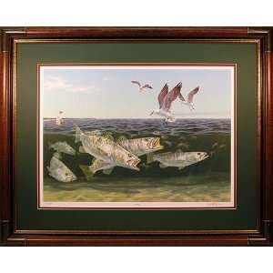  Frenzy   Speckled Trout, Seagulls and Shrimp fish art 