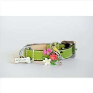  BowhausNYC Birdie Collar in Chartreuse